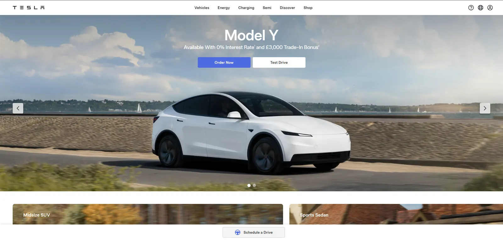 Tesla Website preview